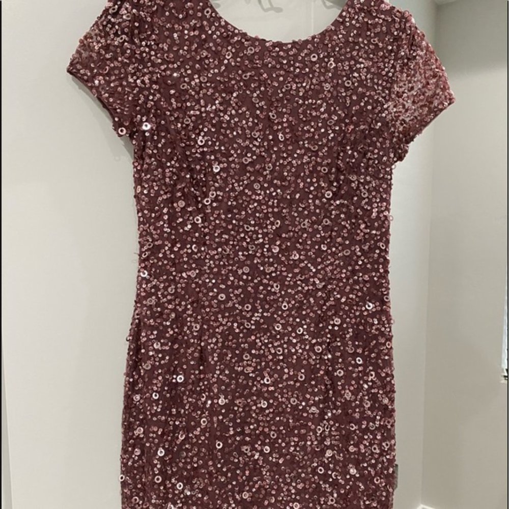 ADRIANNA PAPELL sequin cocktail dress in Dusty Rose EUC